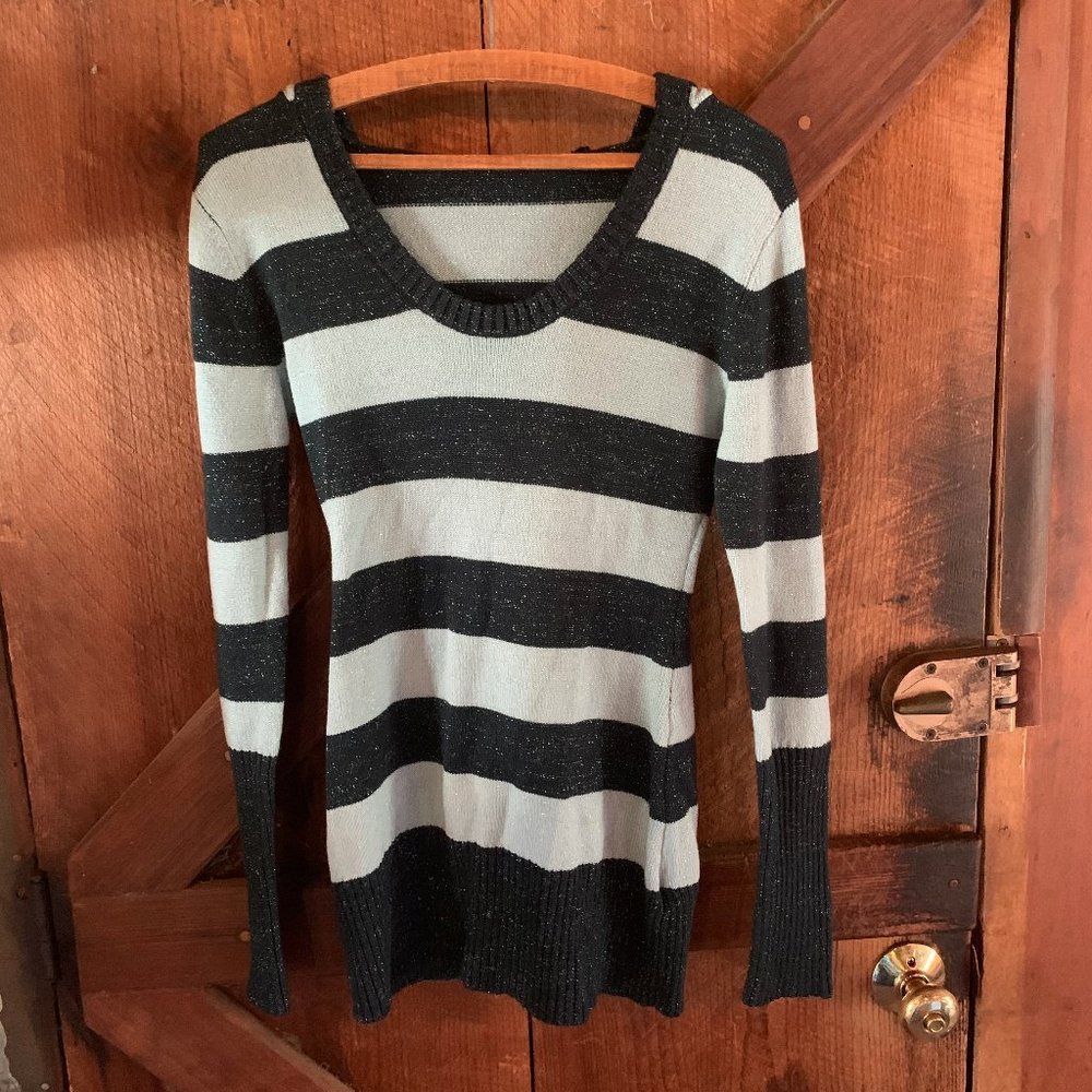 Sparkly Striped Blue Sweater Hoodie